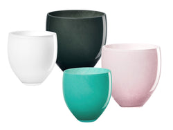 ASA Selection oliveira