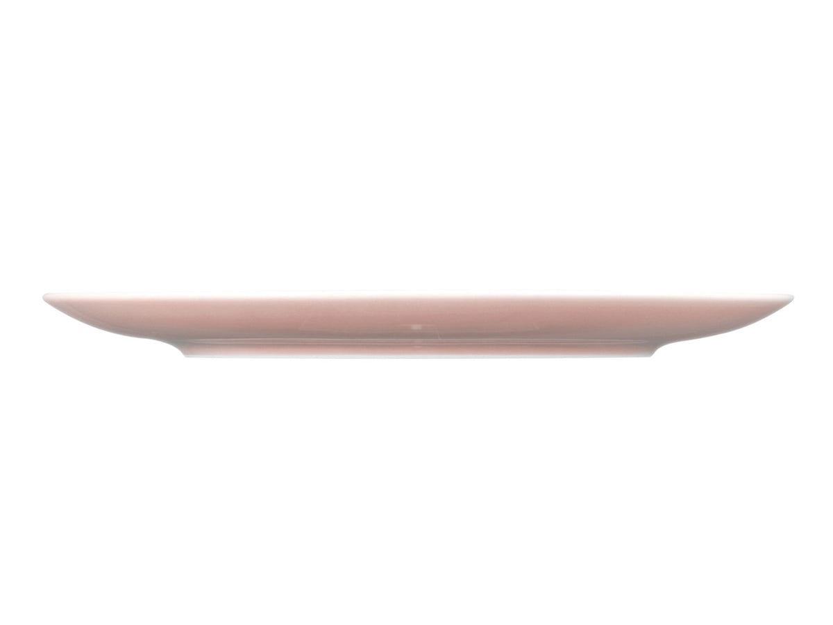 Seltmann Weiden Amina Rose uni Frühstücksteller rund 22,5cm Freisteller 3