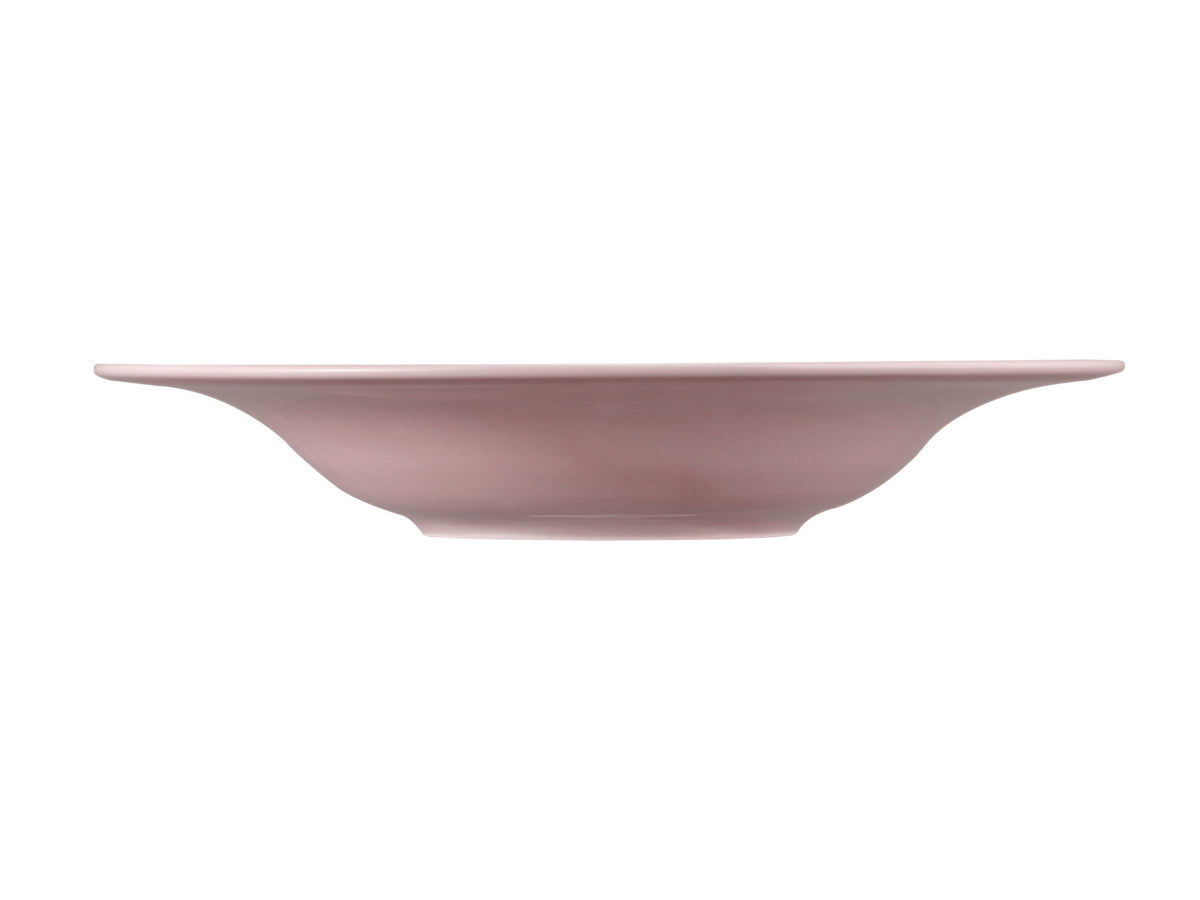 Seltmann Weiden Beat Altrosa uni Pasta-/Salatteller 27,5cm Freisteller3