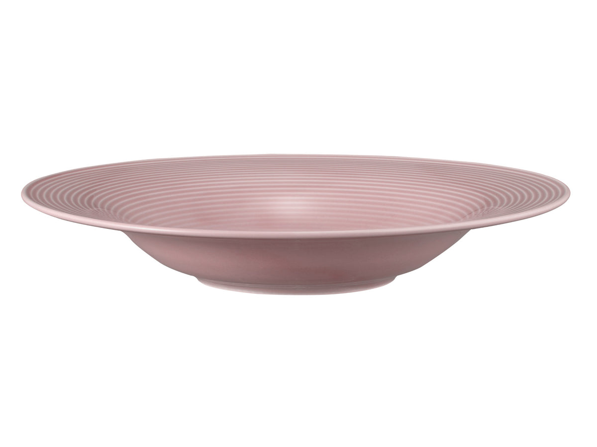 Seltmann Weiden Beat Altrosa uni Pasta-/Salatteller 27,5cm Freisteller2