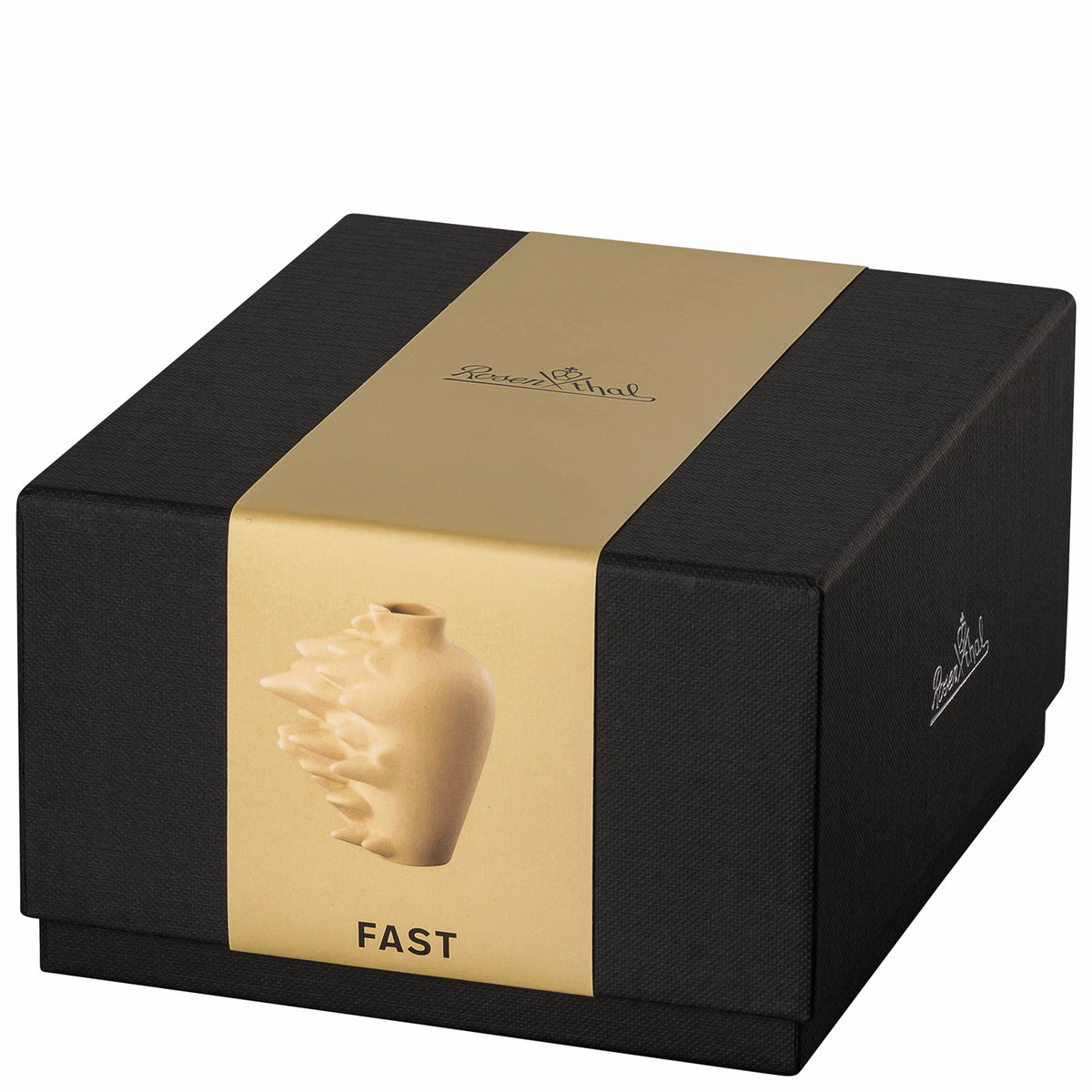 Rosenthal Fast Fossil 10cm Freisteller