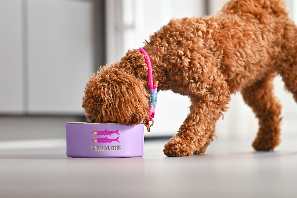 Giftcompany Love Pets Futternapf M Bark aged Chardognay rosa 20cm Lifestyle 1