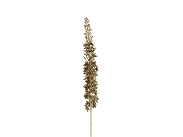 Decostar Dekozweig Eremurus braun 109cm Freisteller