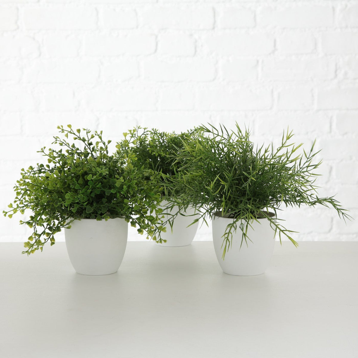 Boltze Topfpflanze Gras mehrfarbig sort. 25cm (1 Stück) Lifestyle 1