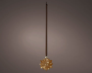 Lumineo LED Blume braun/ warmes weiss 8x19x19cm