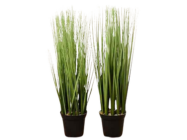 Boltze Gras im Topf sortiert 54 cm (1 Stück) Freisteller