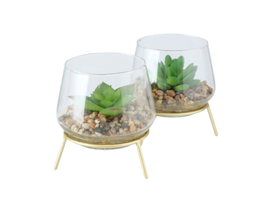Boltze Candio Kunstpflanze Agave sortiert 11 cm (1 Stück) Freisteller