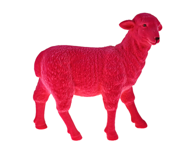 Werner Voß Schaf magenta 27,5x11x28 cm