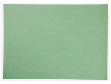 ASA vegan leather Tischset basil 46x33cm Freisteller