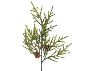 Everlands Zweig mit Zapfen 5 x 22 x 38 cm Freisteller