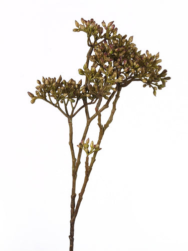 Decostar Claris Baldrian Pflanze grün