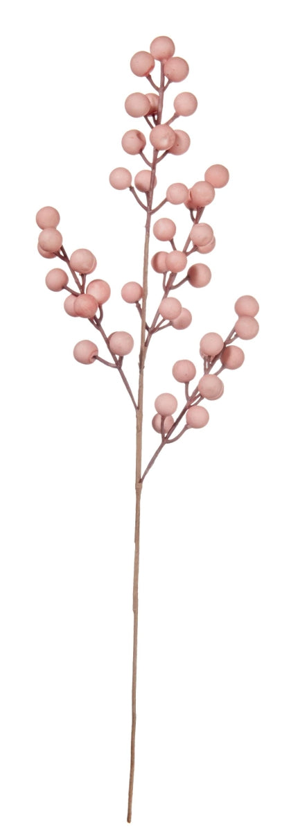 ASA Beerenzweig rose 49 cm