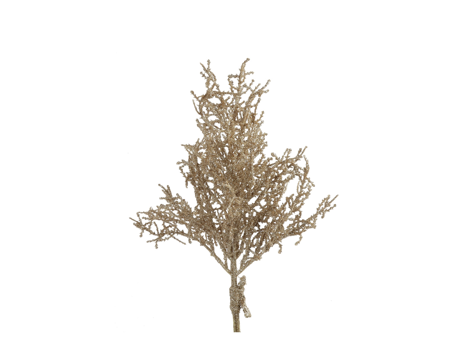 Decostar Monilophyta hellbraun S