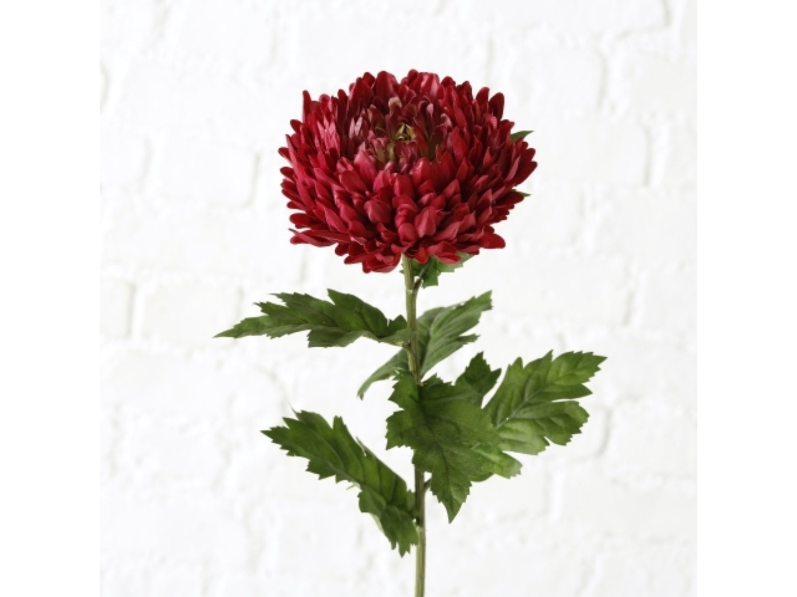 Boltze Chrysantheme 75 cm