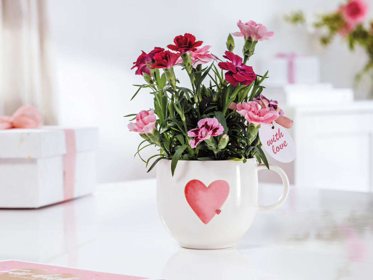 Villeroy & Boch With Love Henkelbecher Sending Love 0,29l Lifestyle 1