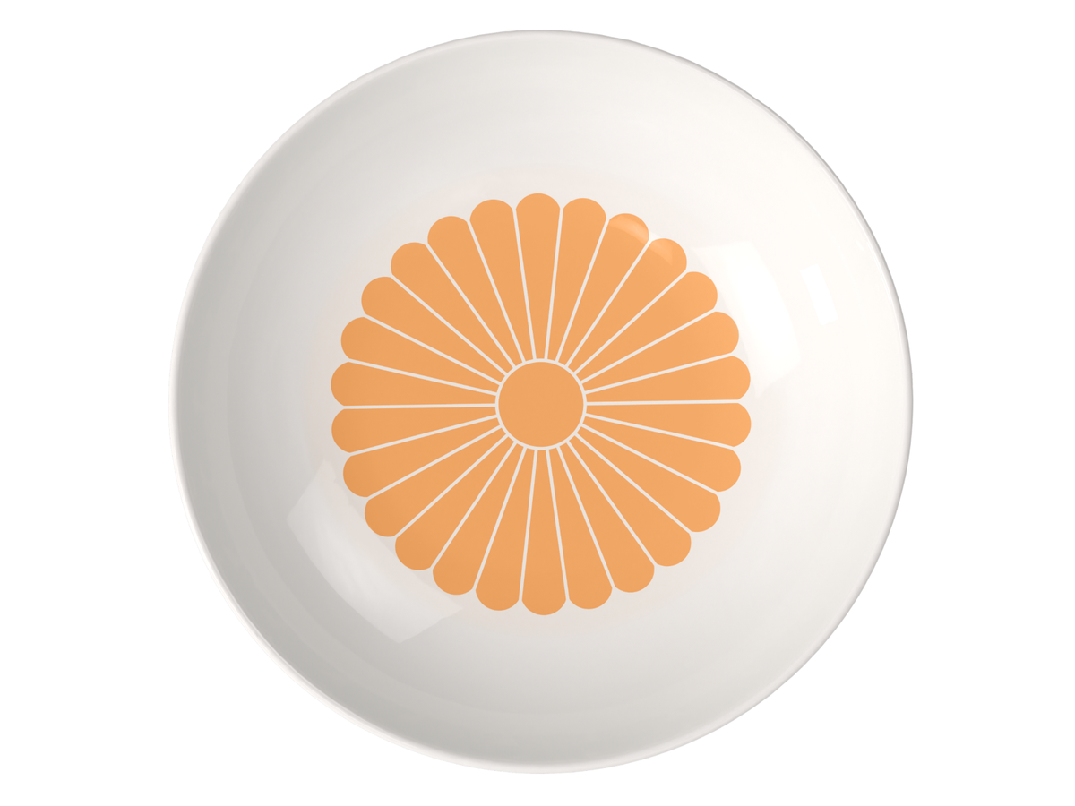 Villeroy & Boch Fleur soleil Pastaschale 24cm Freisteller 2