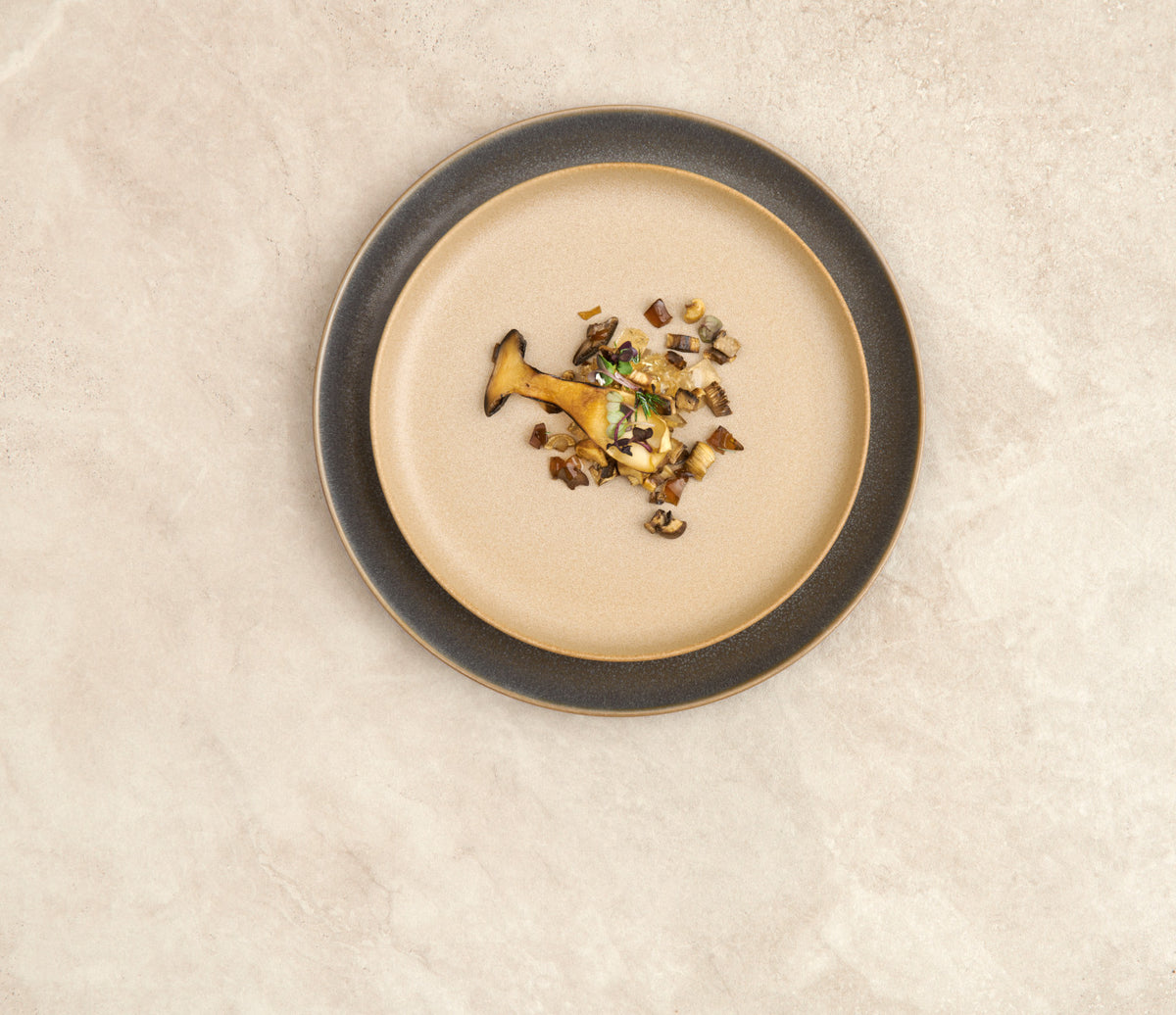 ASA 27161080 Saisons Speiseteller almond 26,5 cm