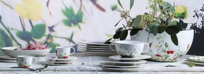 Rosenthal Tassen
