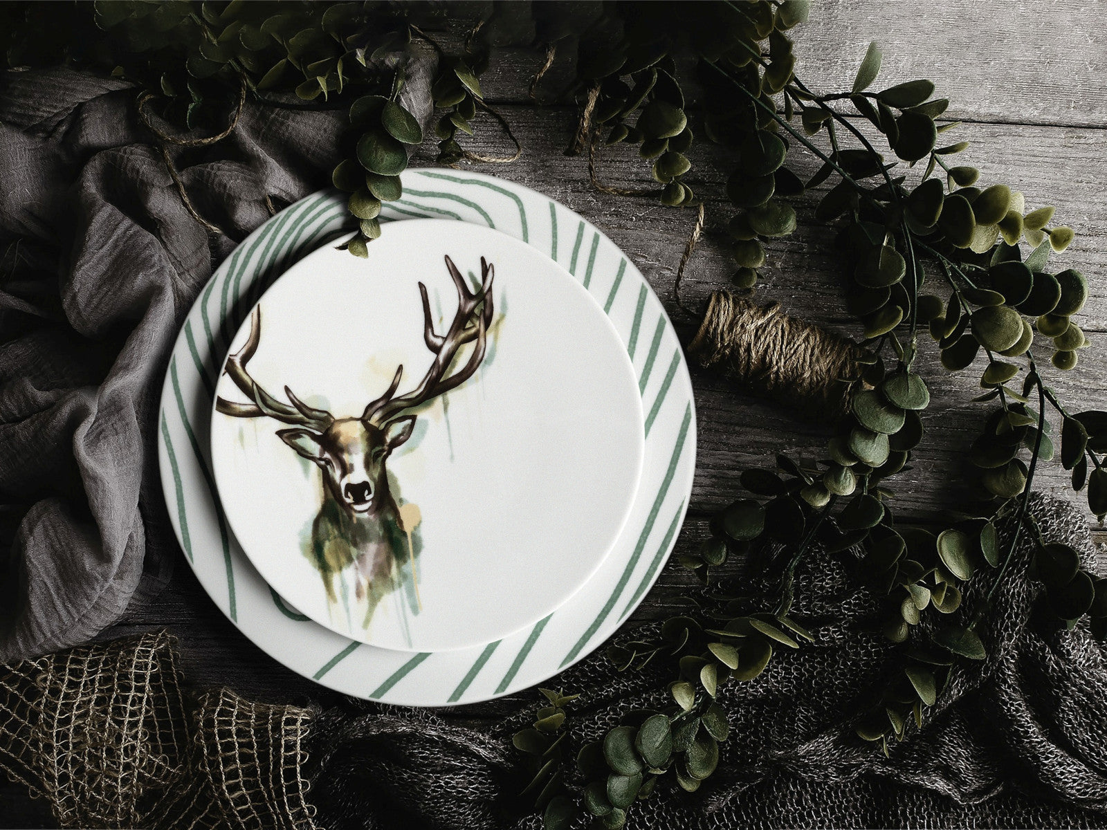 Seltmann Weiden Life Nature Hirsch Pasta-/Suppenteller 23cm Lifestyle2