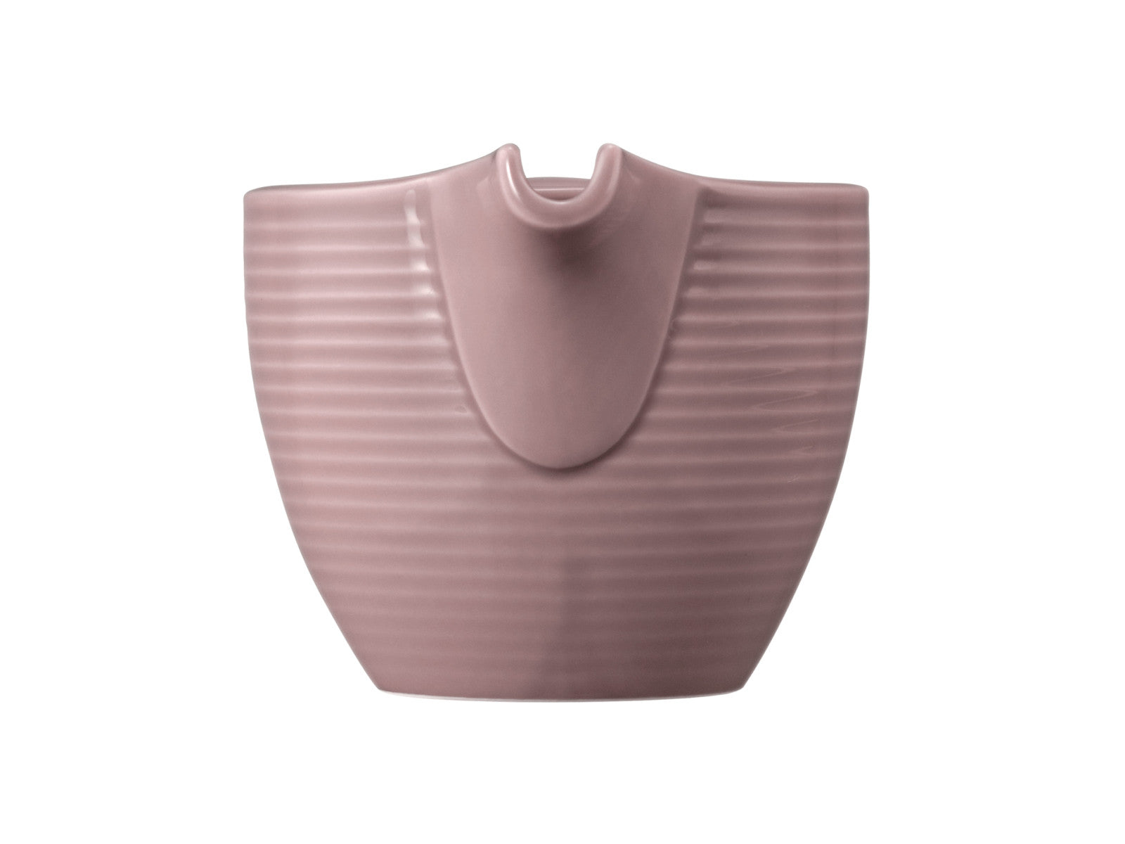 Seltmann Weiden Beat Altrosa uni Milchkännchen 0,29l mit Relief Freisteller3