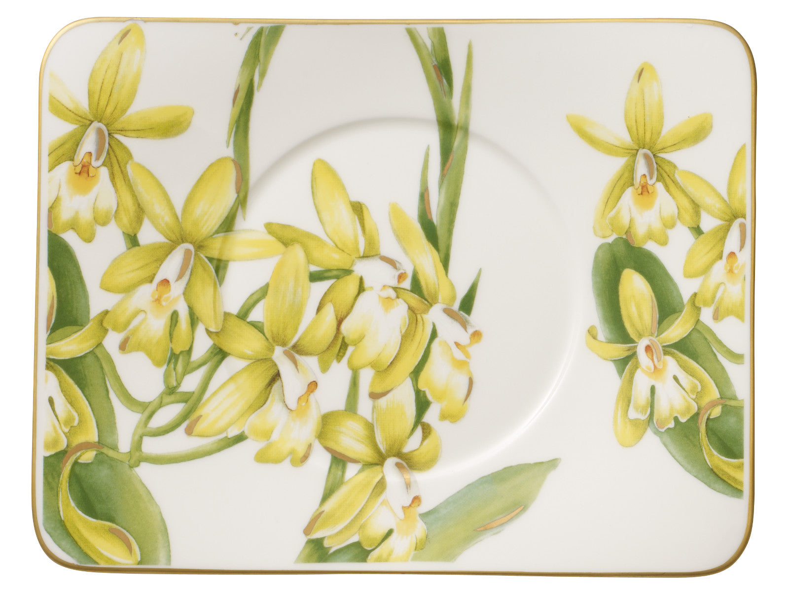 Villeroy & Boch Amazonia Teeuntertasse 17 x 14 cm Freisteller