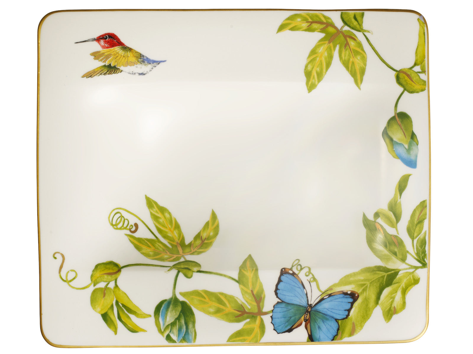 Villeroy & Boch Amazonia Suppenteller 24 cm Freisteller