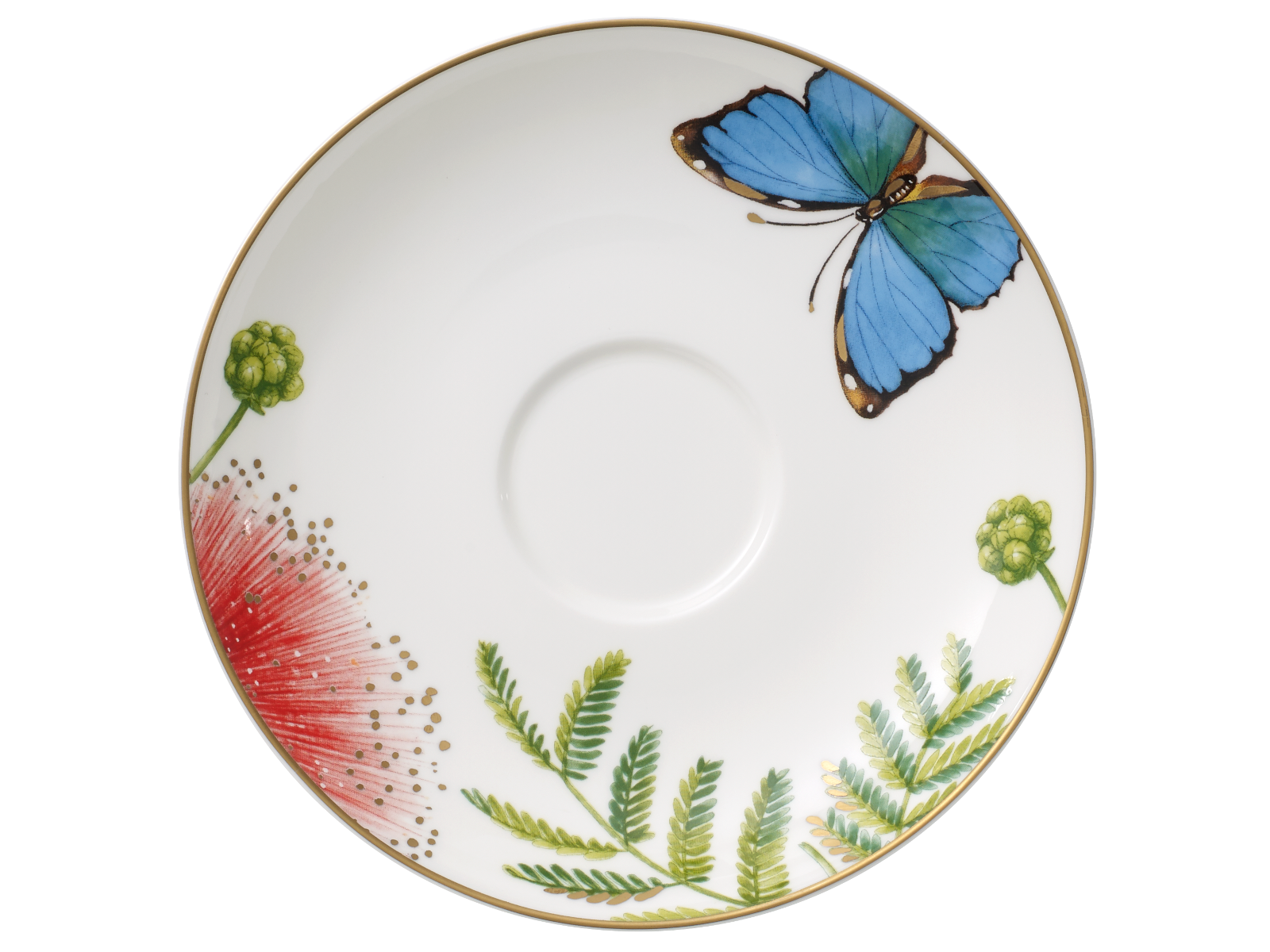 Villeroy & Boch Amazonia Anmut Kaffeeuntertasse 15 cm Freisteller