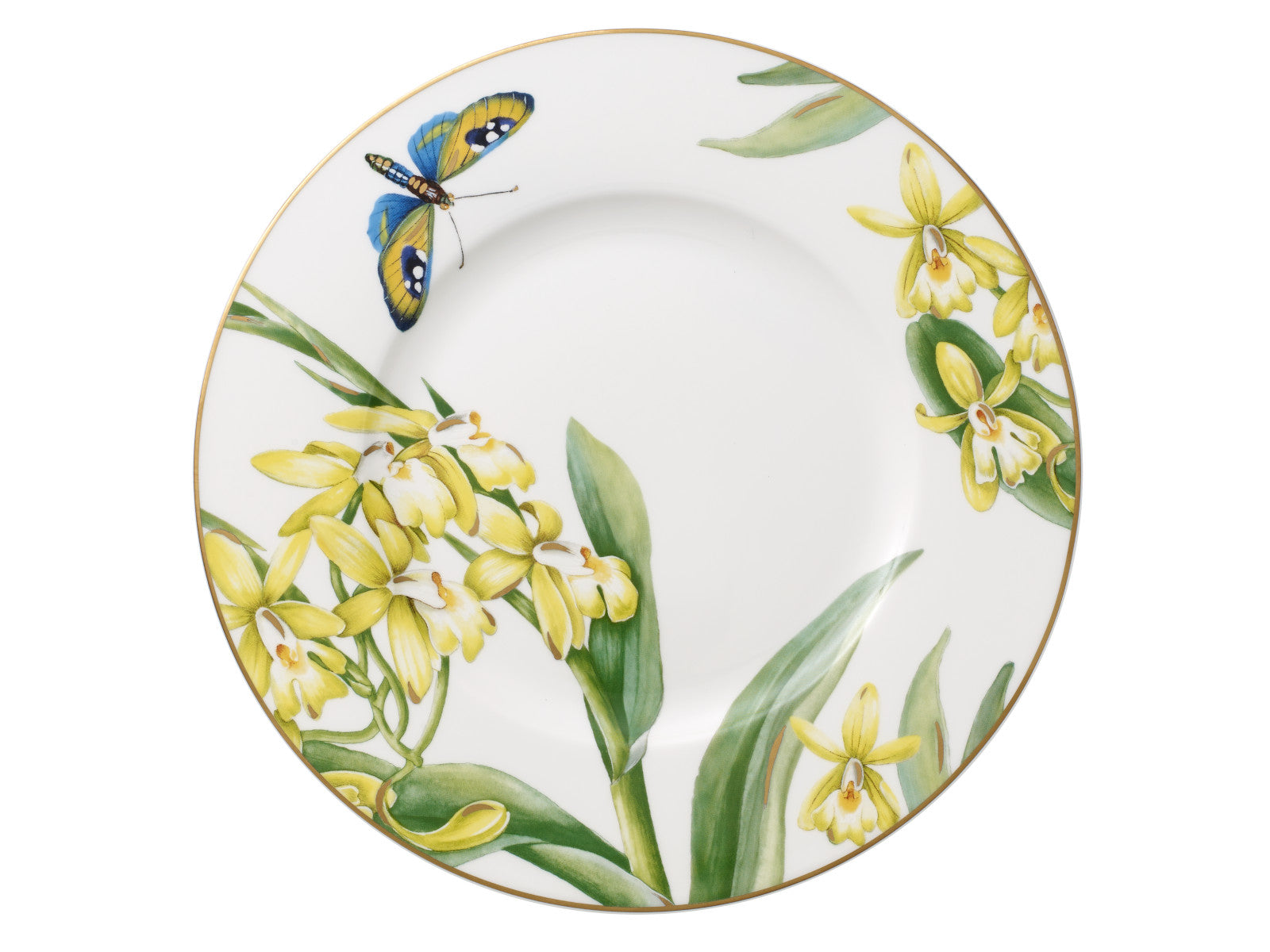 Villeroy & Boch Amazonia Anmut Frühstücksteller 22 cm Freisteller