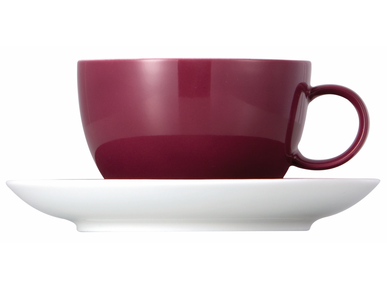 Thomas Sunny Day Fuchsia Teetasse 2tlg. Freisteller