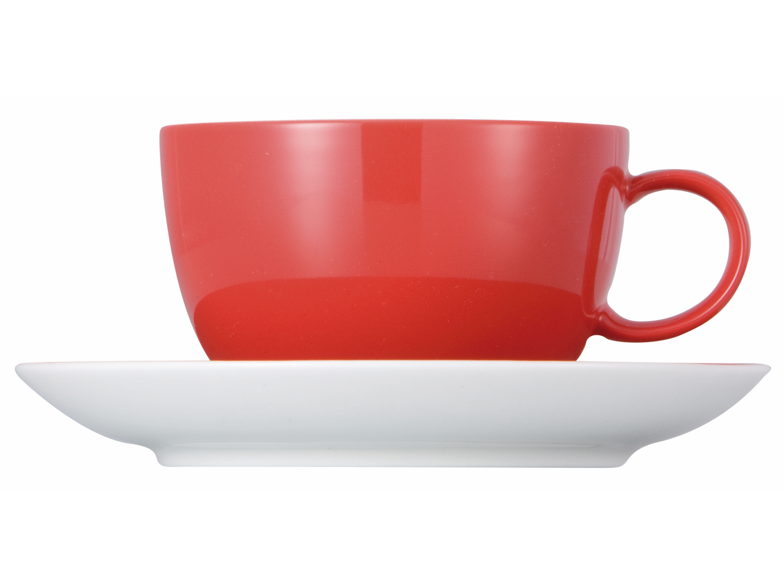 Thomas Sunny Day New Red Teetasse 2tlg. Freisteller