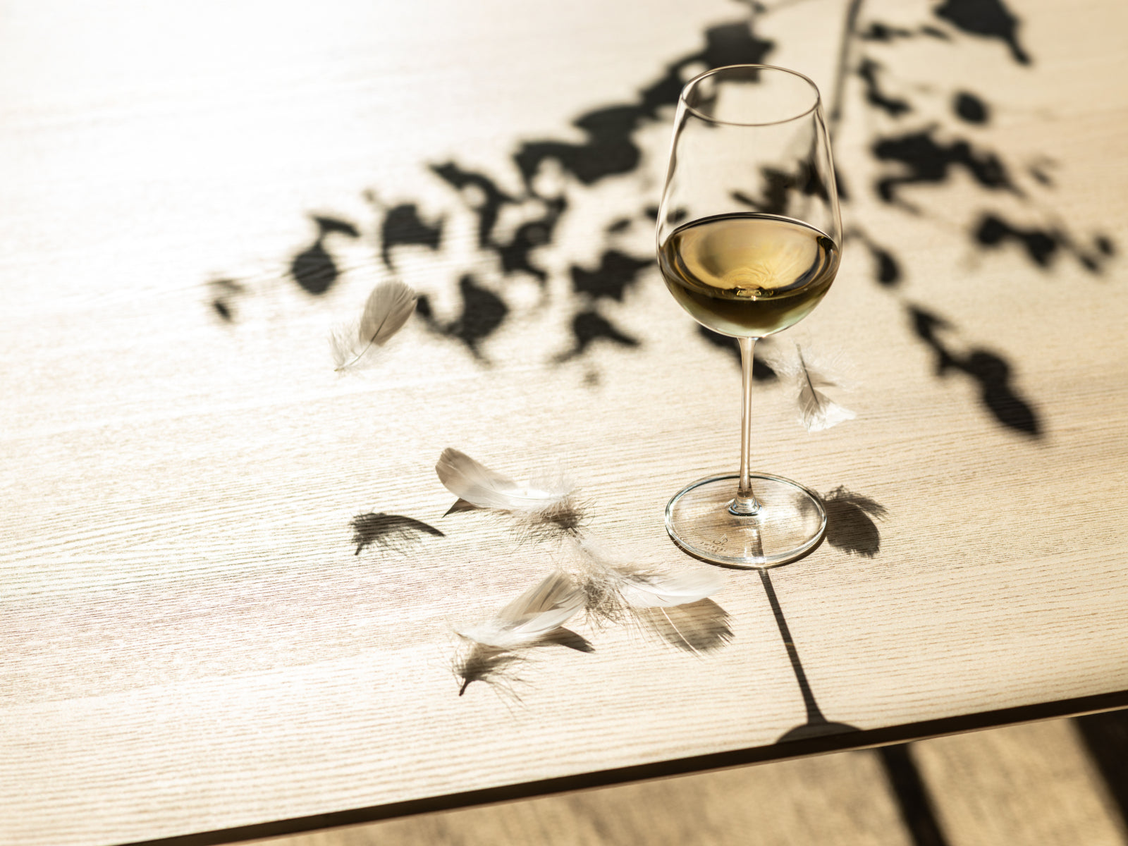 ZWIESEL GLAS Vuelo Weißweinglas Set 2tlg Lifestyle 3