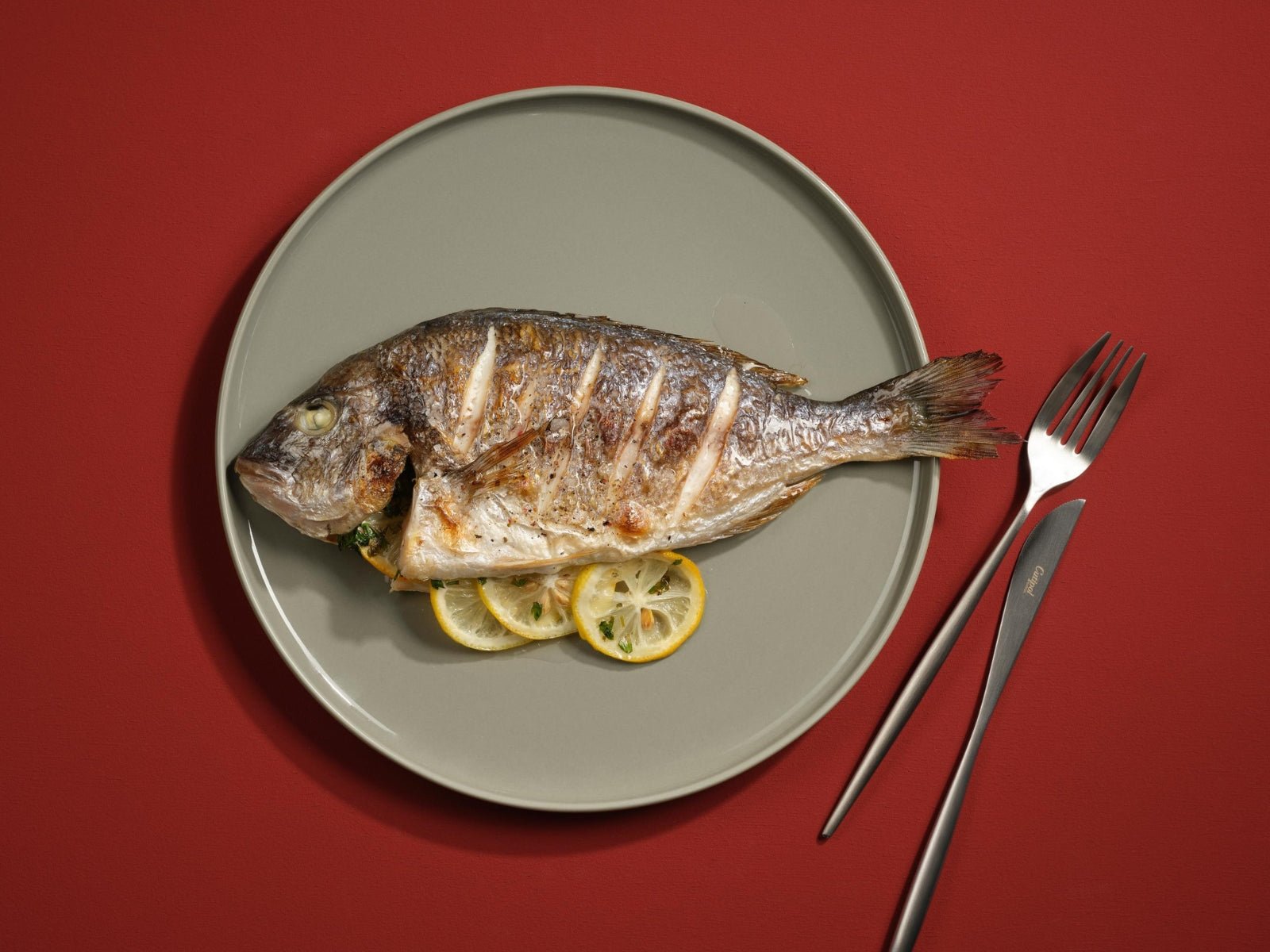 ASA coppa Speiseteller shiso 26,5cm Lifestyle 1