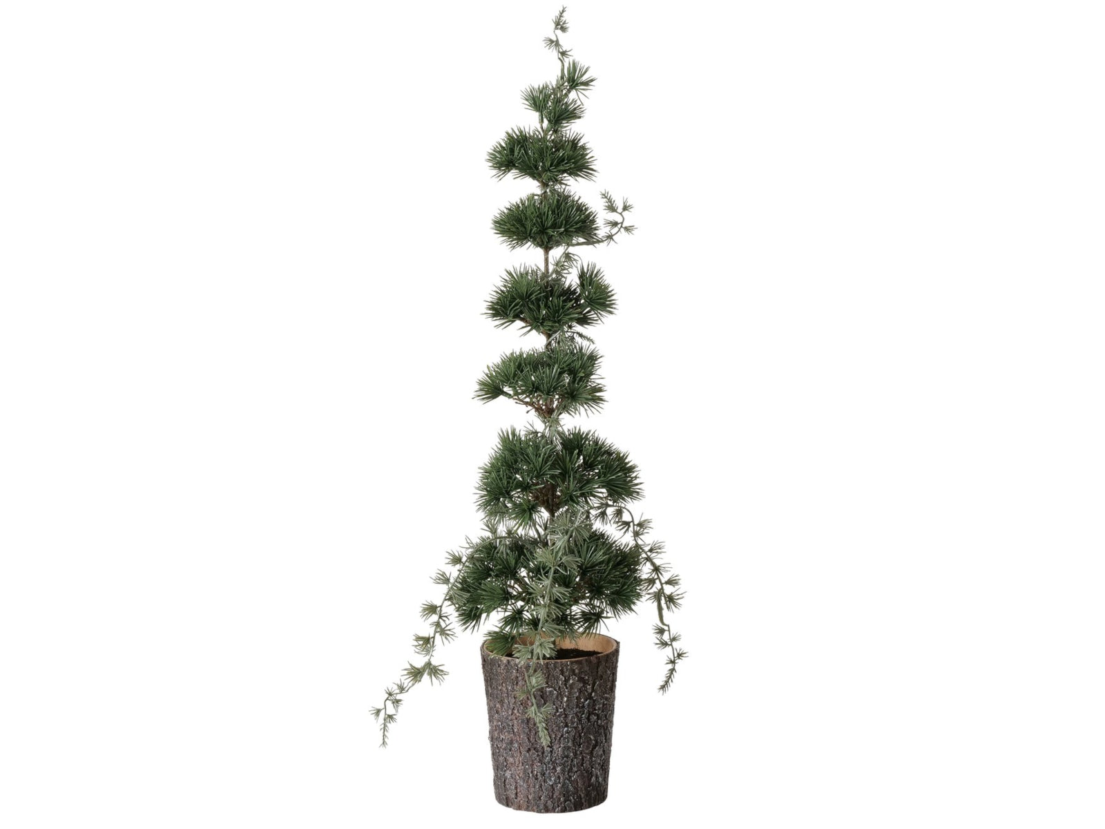 Boltze Zeder Dekobaum grün 64cm (1 Stück) Freisteller 1