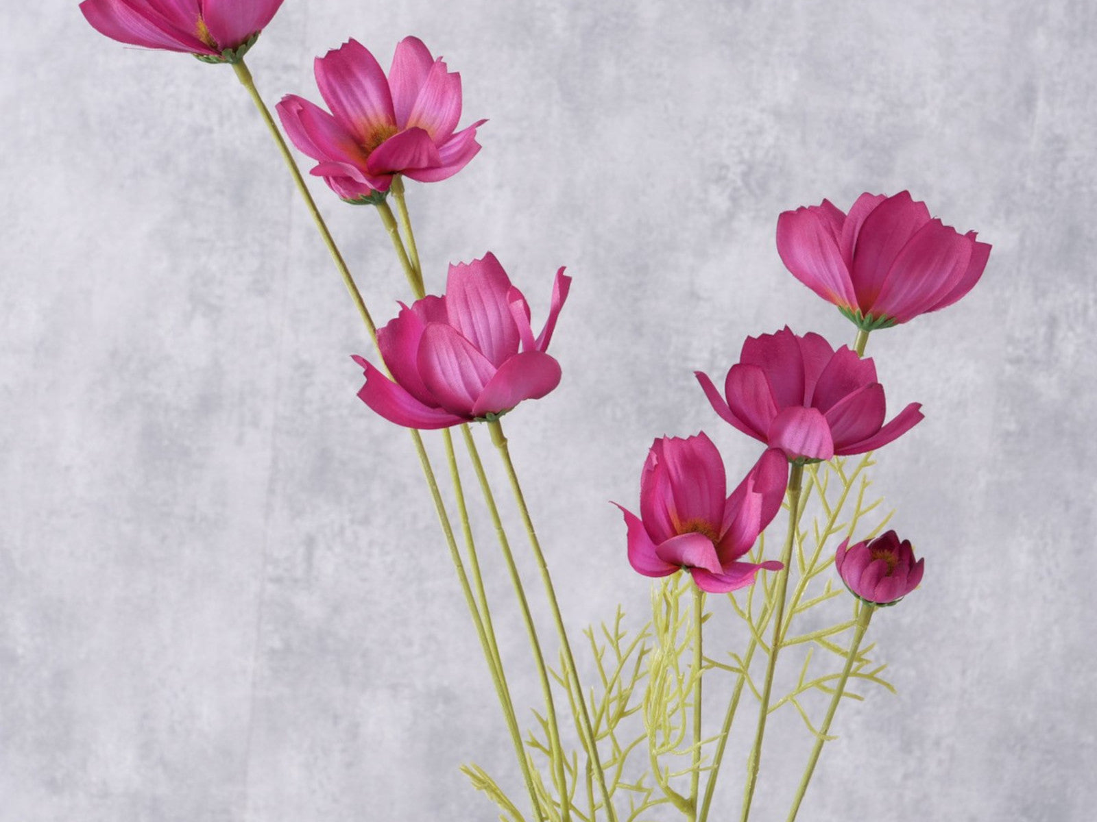 Boltze Stielblume Cosmea grün/pink 91cm Lifestyle 1