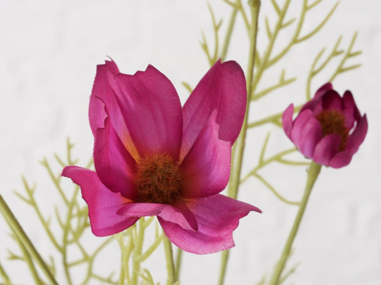 Boltze Stielblume Cosmea grün/pink 91cm Lifestyle 2