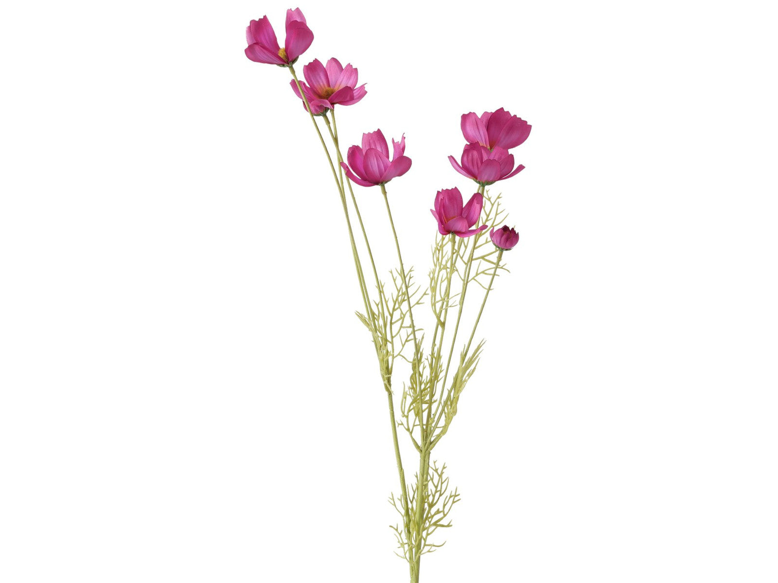 Boltze Stielblume Cosmea grün/pink 91cm Freisteller 1