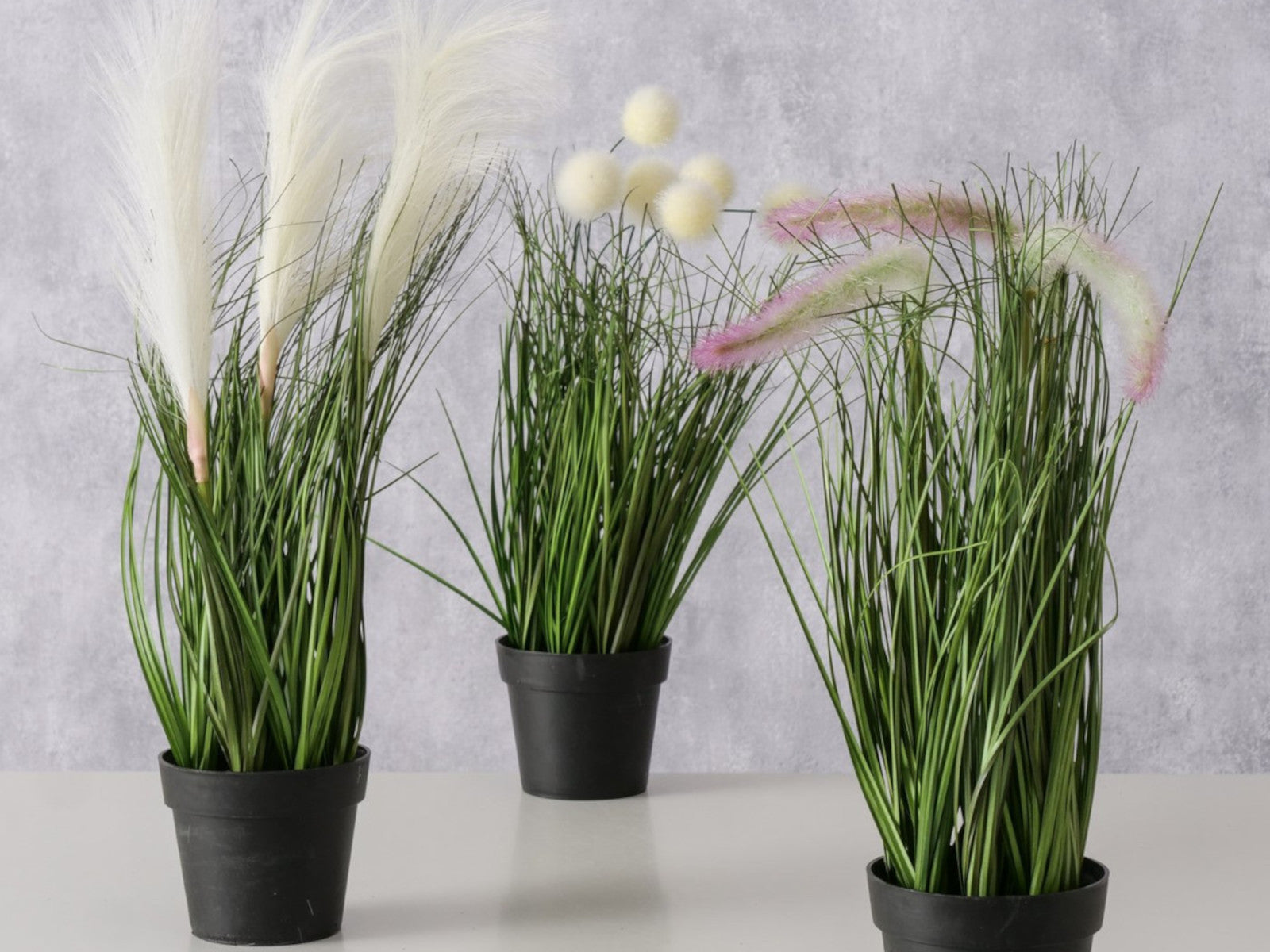 Boltze Topfpflanze Gras mehrfarbig sort. 46cm (1 Stück) Lifestyle 1