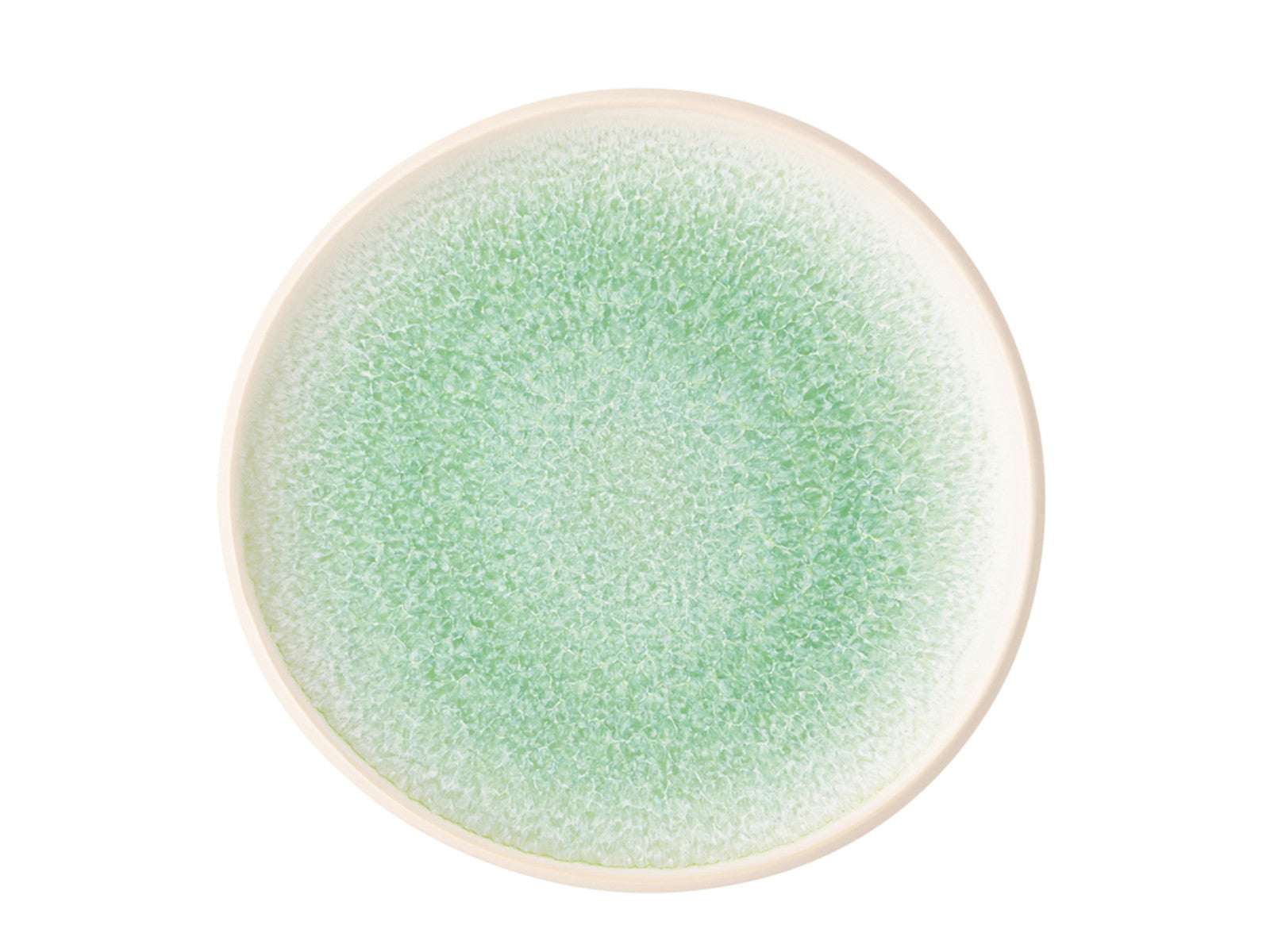 Rosenthal Junto Jungle Teller flach 16 cm Freisteller 1