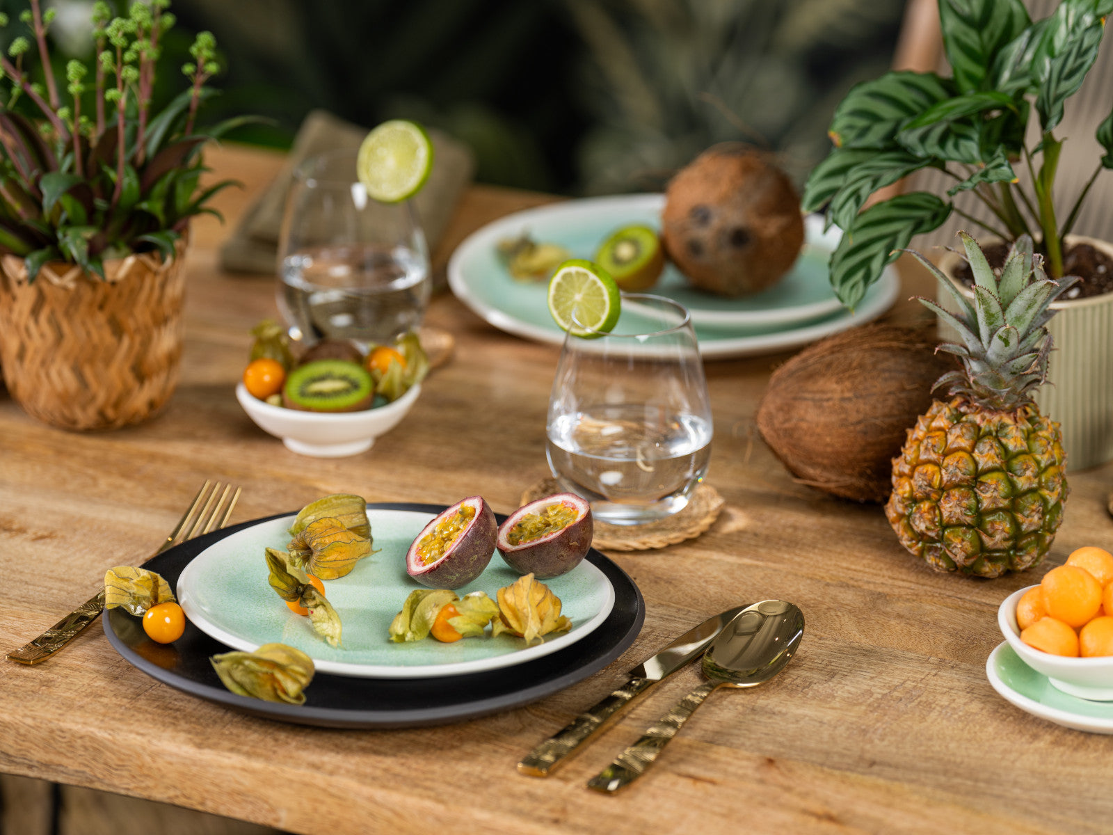 Rosenthal Junto Jungle Teller flach 27 cm lifestyle 2