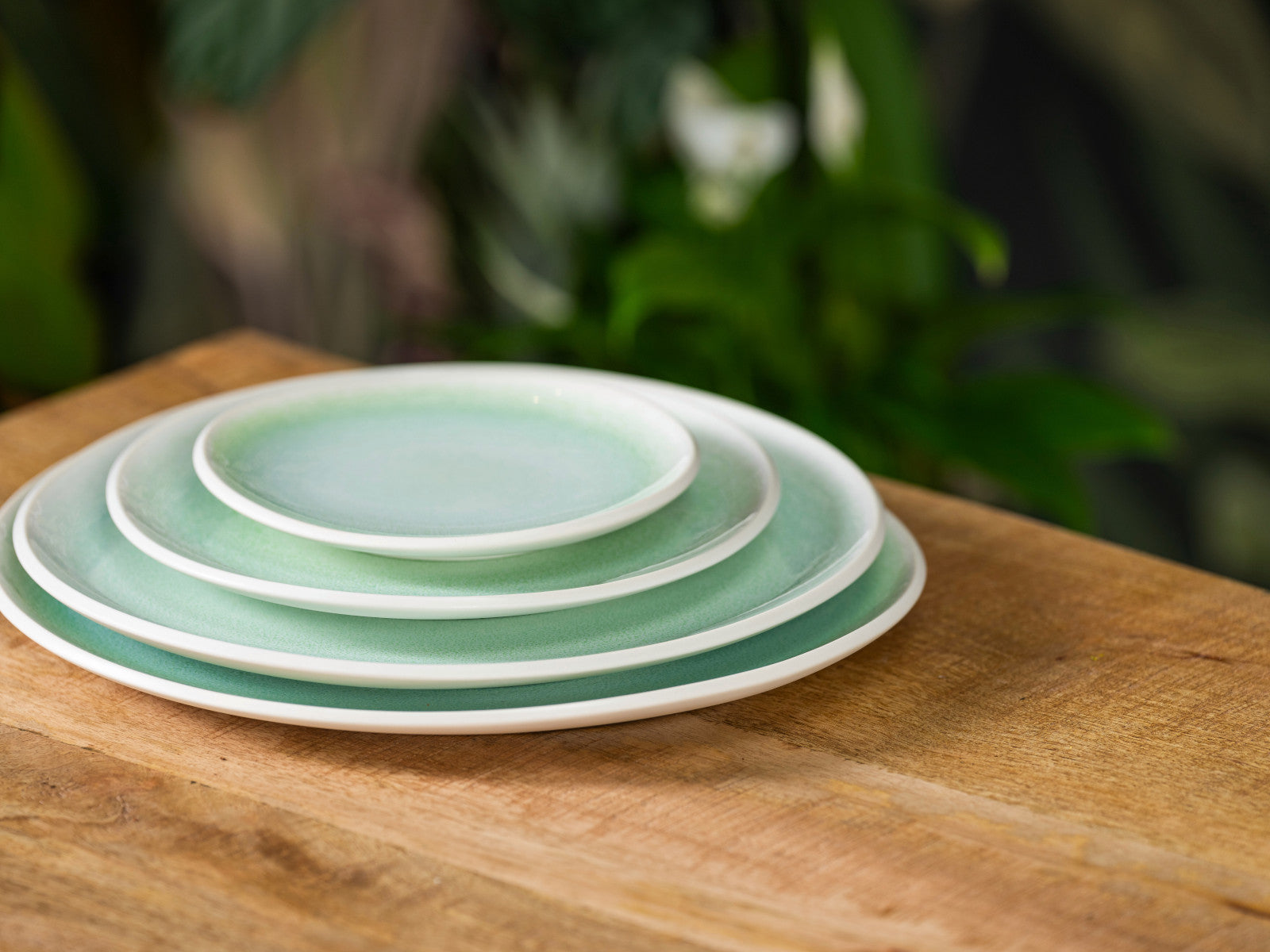 Rosenthal Junto Jungle Teller flach 22 cm Lifestyle 3