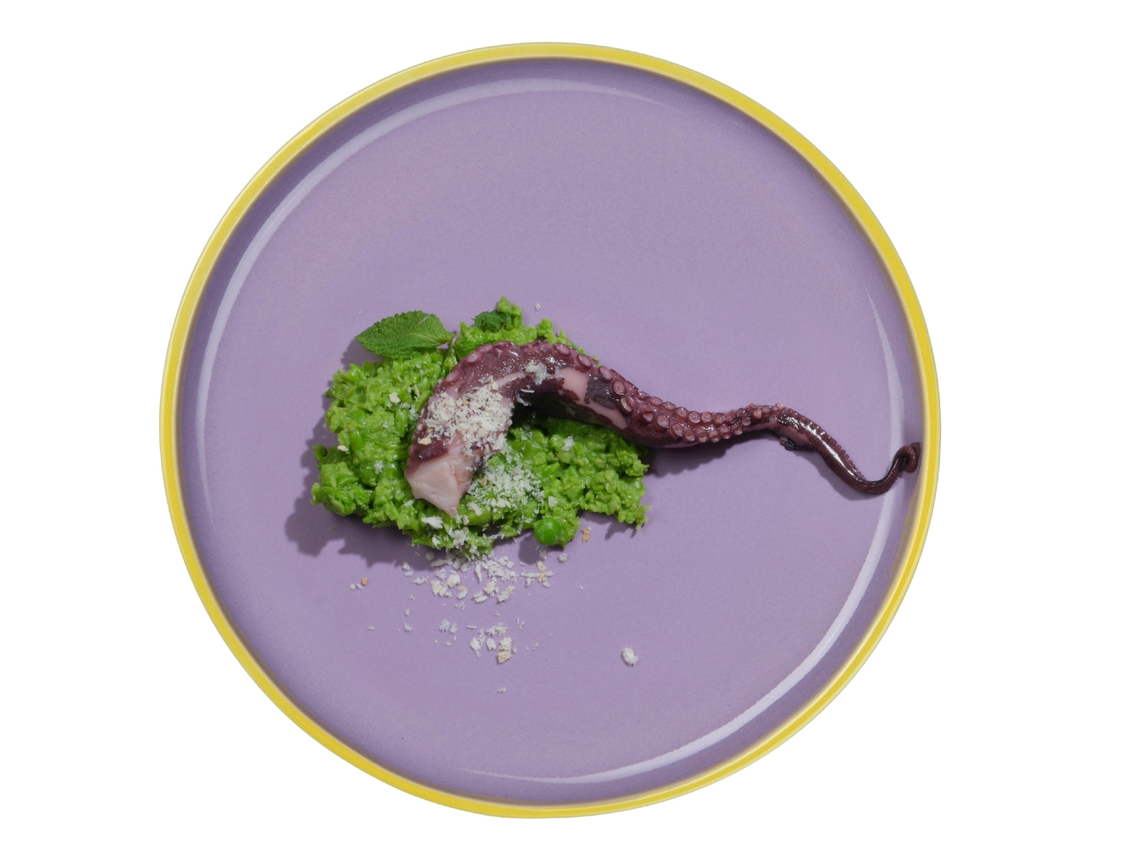 ASA tapero viva Speiseteller violeta 24cm - Produktbild 2