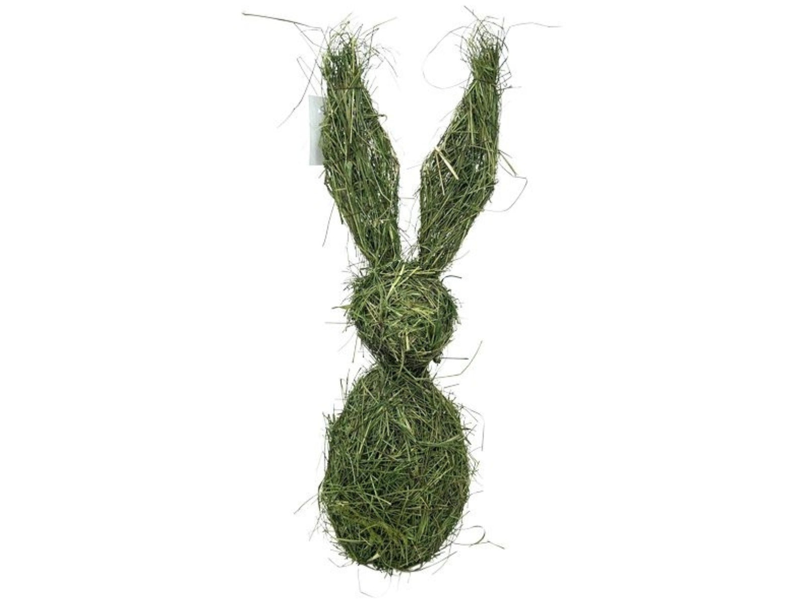 Exner Hase WILLOW grün 60cm Freisteller 1