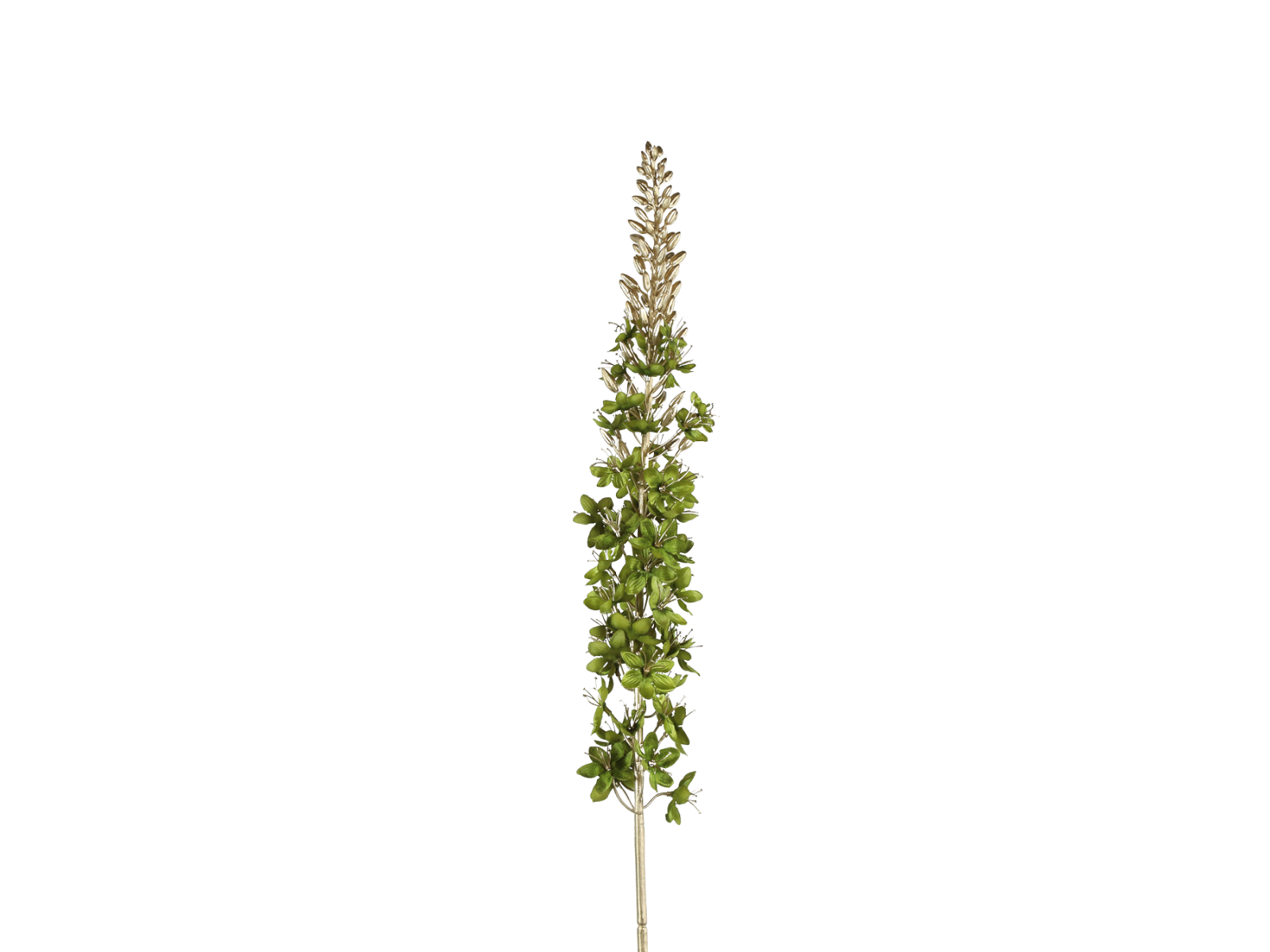 Decostar Dekozweig Eremurus grün 109cm Freisteller