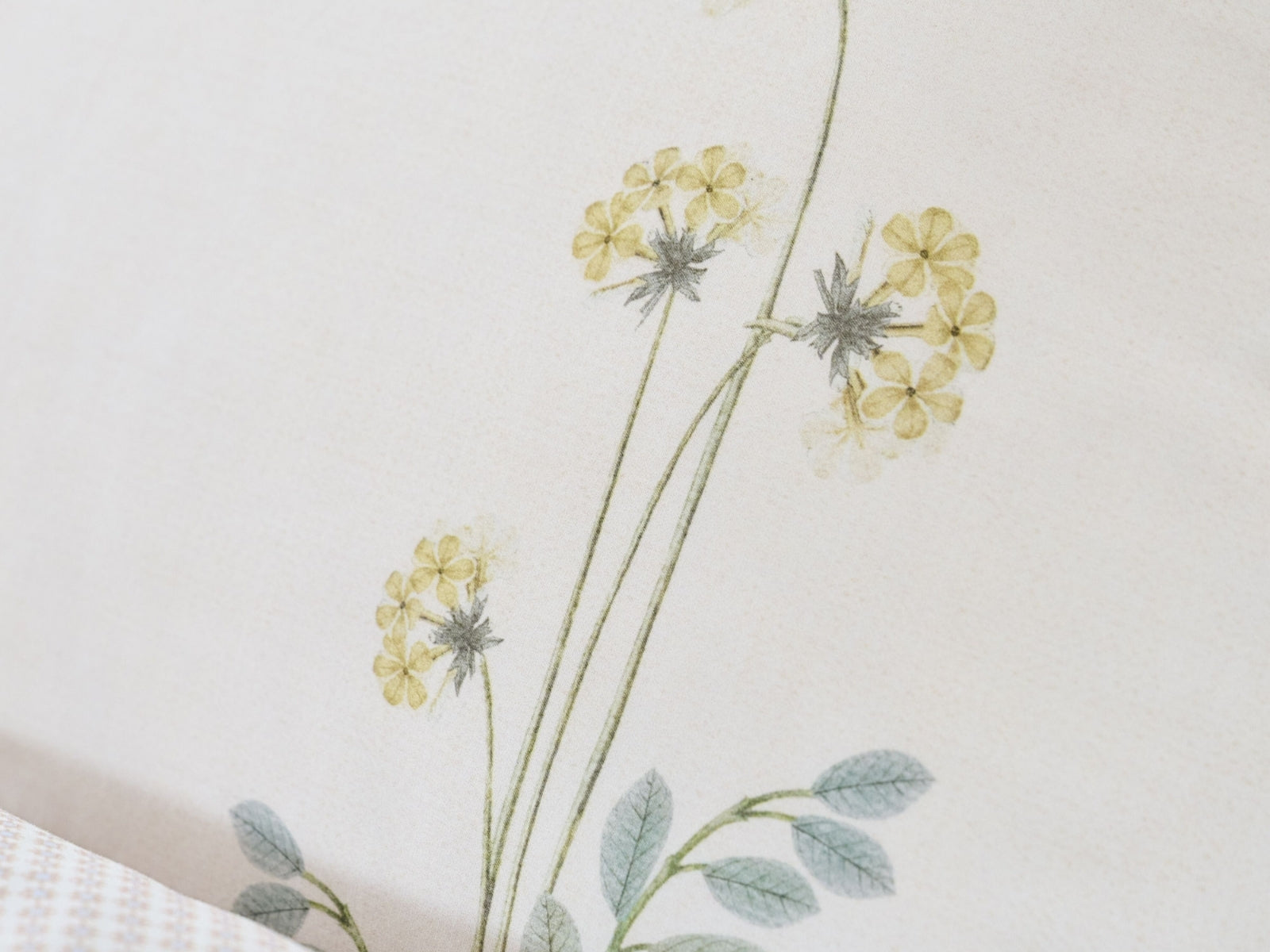 PIP STUDIO Desi Garden Bettwäsche off-white 135x200cm (1 Stück) - Produktbild 5