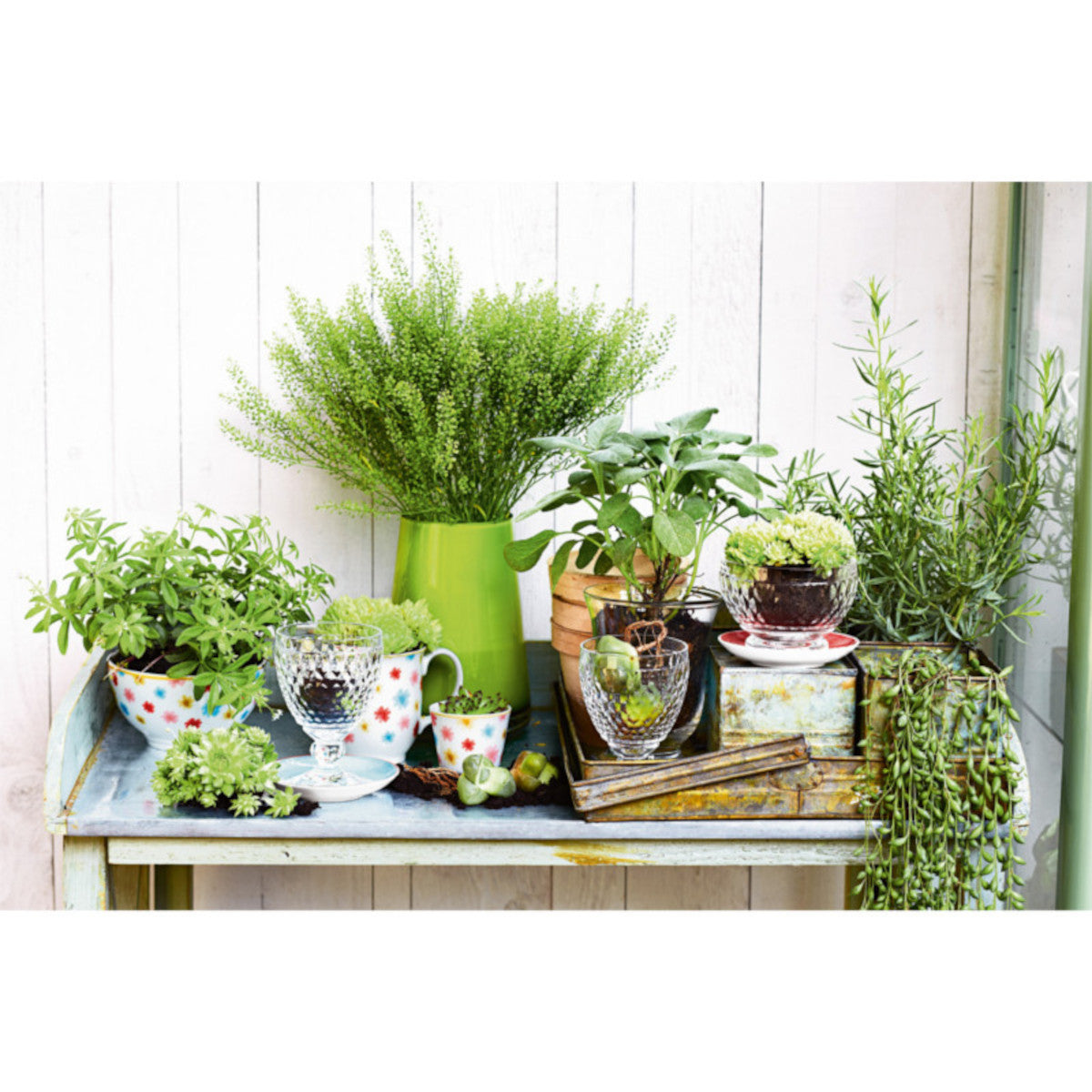 Villeroy & Boch Boston Weissweinglas 0,23 l Lifestyle