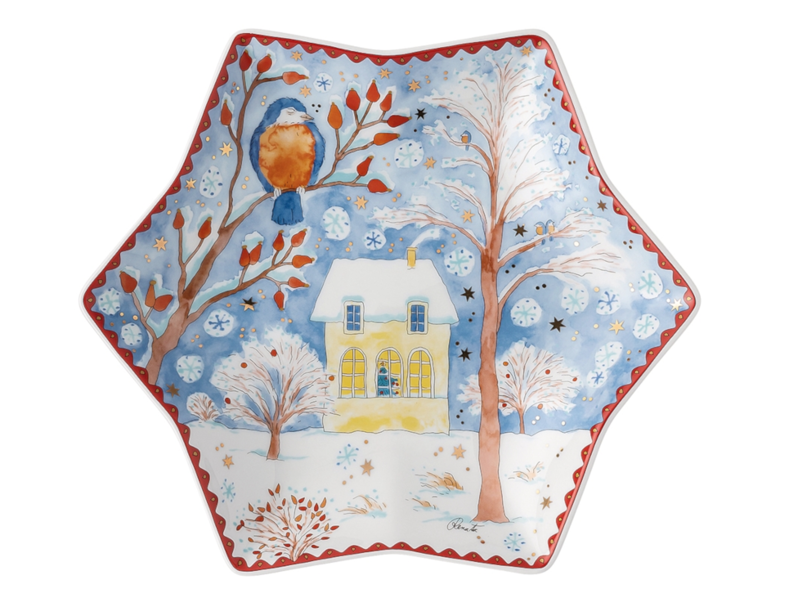 Hutschenreuther Sammelserie 2022 Sternschale 24 cm Weihnachtsabe. Freisteller