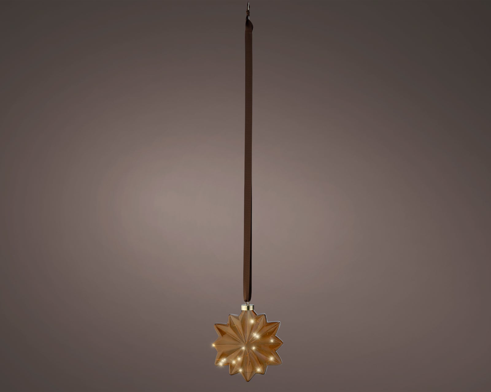 Lumineo LED Blume braun/ warmes weiss 8x19x19cm