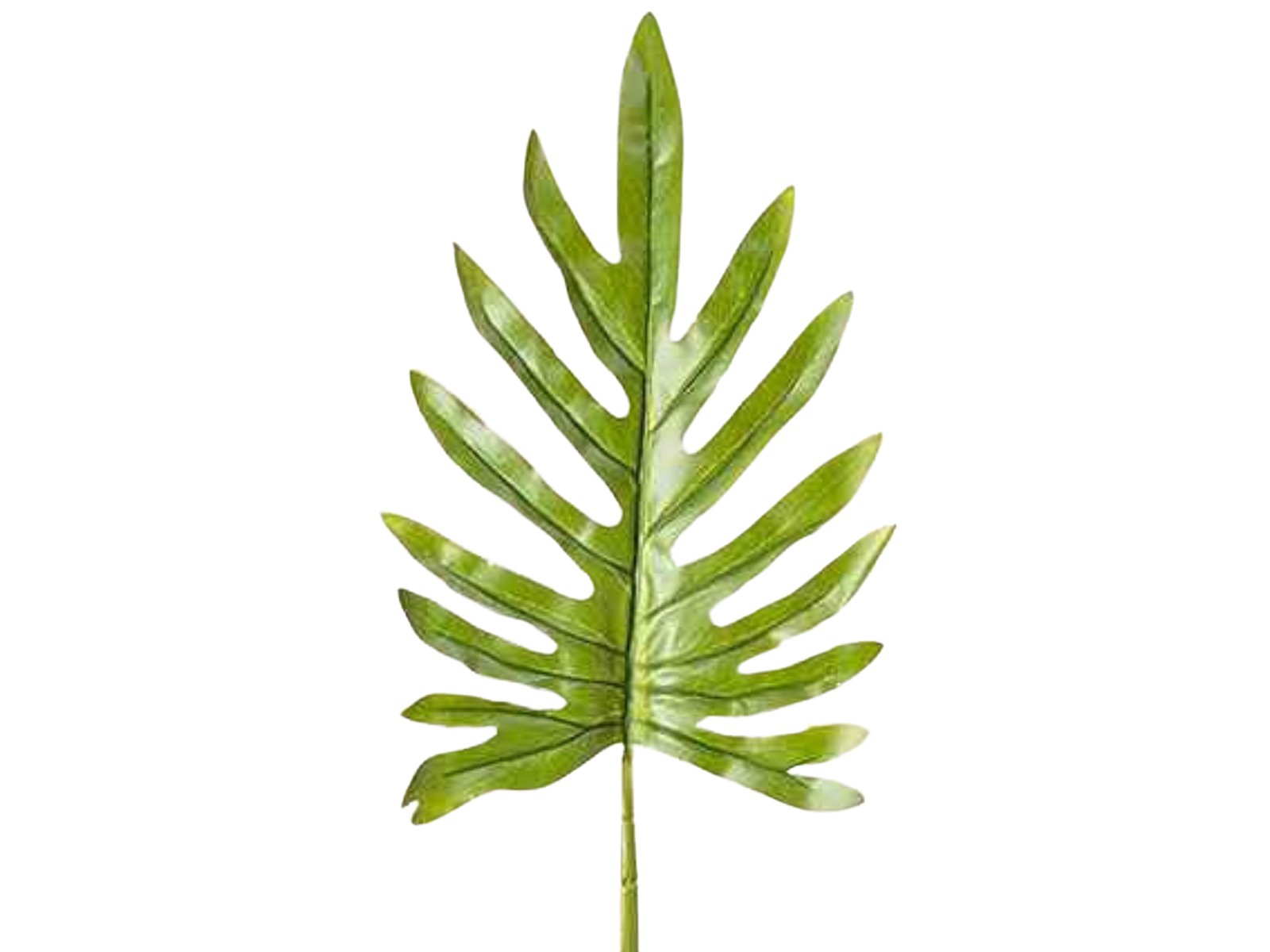 Boltze Blatt 103 cm (8295400) Freisteller