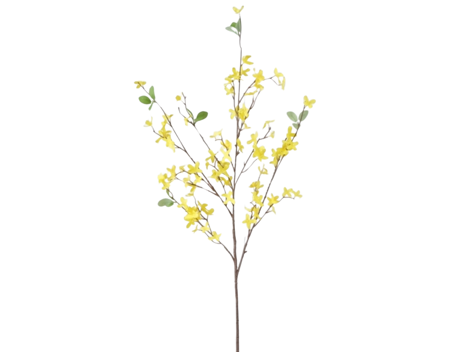 Boltze Dekozweig Winterjasmin 25 cm Freisteller