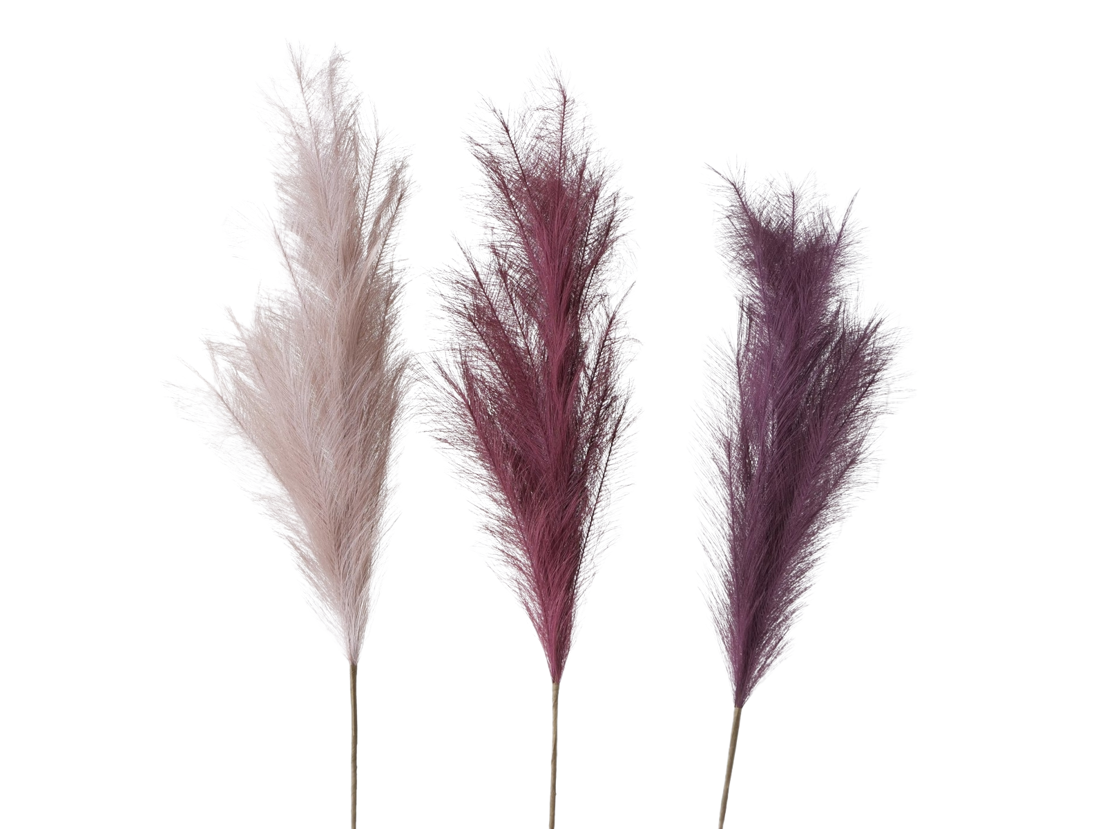 Boltze Dekozweig Pampasgras sortiert 1 Stück Freisteller